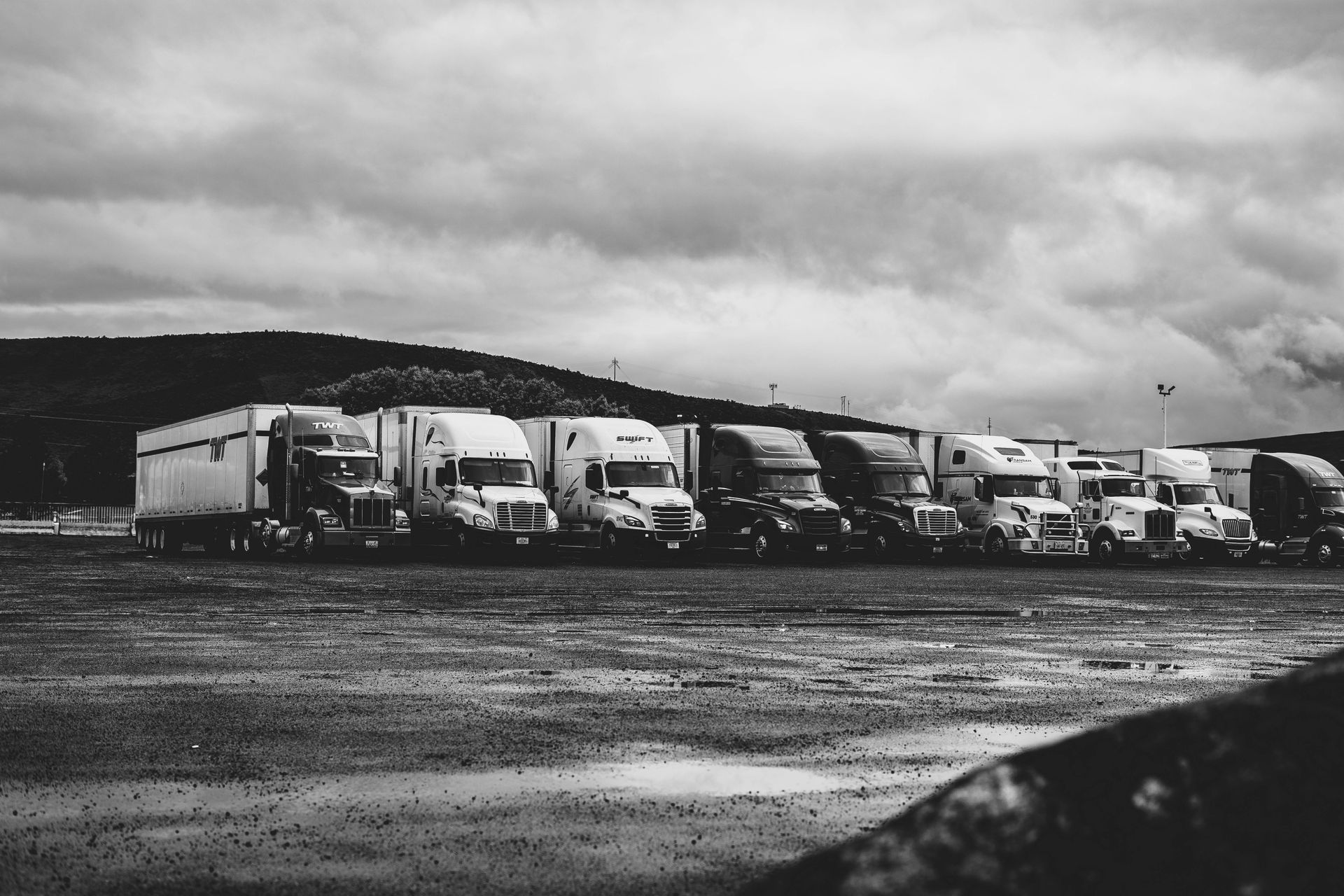 A fleet of commercial trucks lined up in a yard